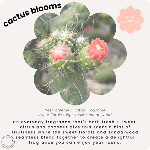 Cactus blooms | deluxe soy candle tin