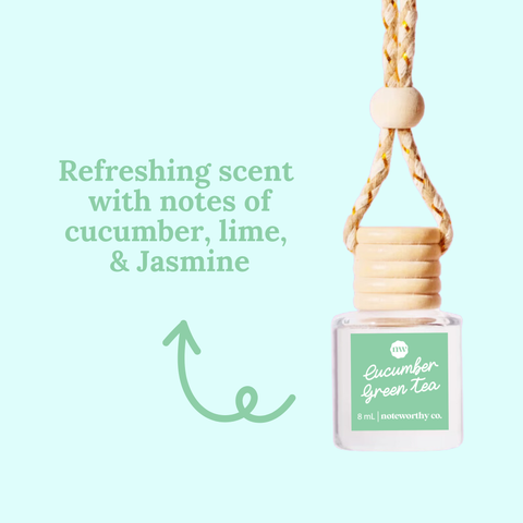 SPRING & SUMMER CAR DIFFUSERS | NEW | 2025