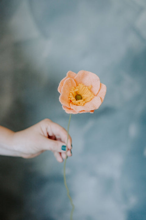 Felt Icelandic Poppy Flower