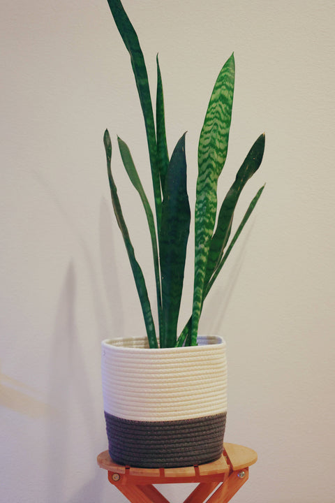 Handmade medium large Cotton Rope Plant container plant pots