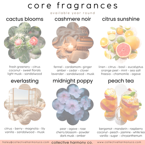 Mini perfume mist sampler | travel size eau de parfum