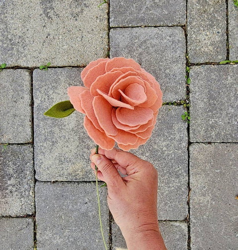 Felt Carnations