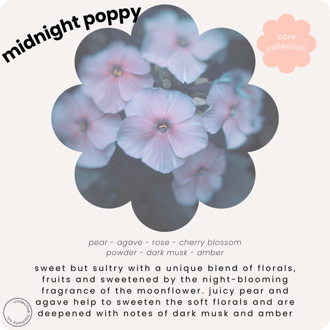 Midnight poppy | perfume oil