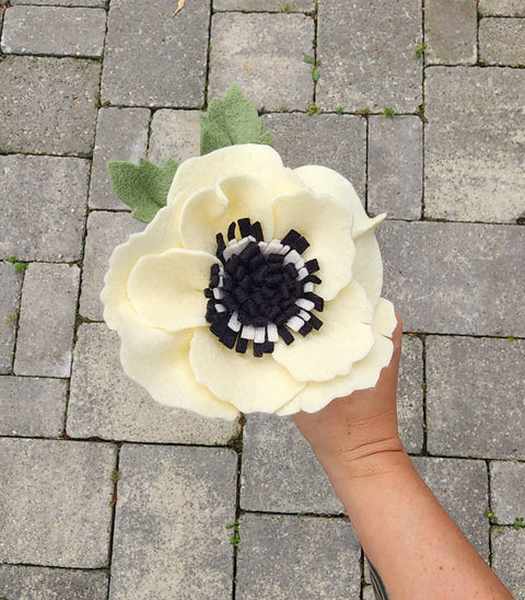 Large Felt Anemone