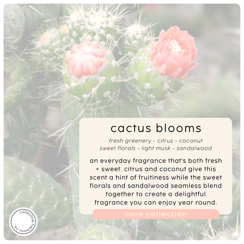 Cactus blooms | shea butter hand + body lotion