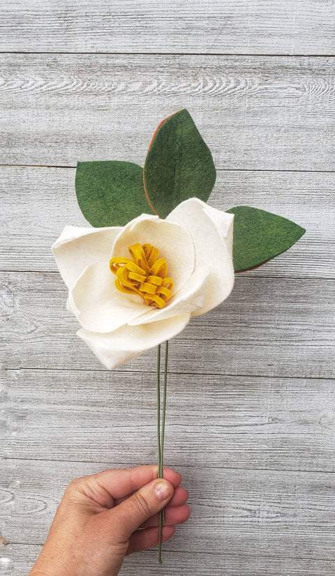 Magnolia Stem