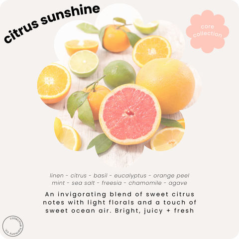 Citrus sunshine | deluxe soy candle tin