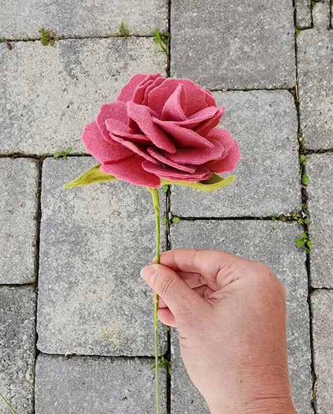 Felt Carnations