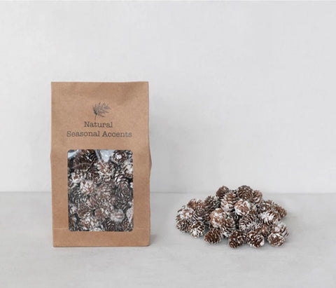 Dried Natural Pinecones in Printed Kraft Bag
