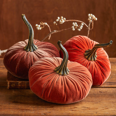 XLarge Velvet Pumpkins
